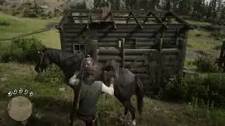 Red Dead Redemption 2 PS4 Gameplay