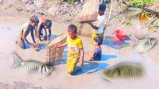Traditional Fish Catching with Bamboo Trap in Village Pond |Amazing Rural Fishing in Rice Field asia