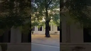 Tagore library, Lucknow University, #shorts #viral #trending #library #ytshorts  #shortsvideo