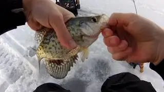 Baitless Spoon Fishing for Crappies and Sunfish  (Clam Outdoors Drop Spoon)