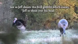 3 Shot Wonder Turkey Hunt - Jeff Rutledge