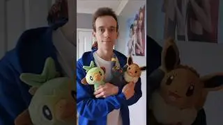 My Pok&eacute;mon Plushies