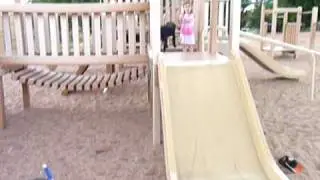 Black Lab Puppy Going Down Slide