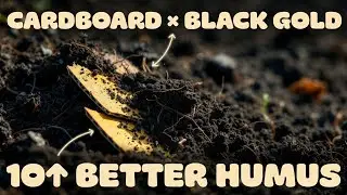 This Cardboard Soil Hack Creates 10&times; Better Humus Than Compost (Gardeners Can&rsquo;t Believe It)
