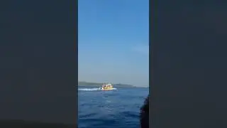 Blue sea- speed boat ride @andaman  #travel #explore #beach #sea #nature #shorts #shortvideo