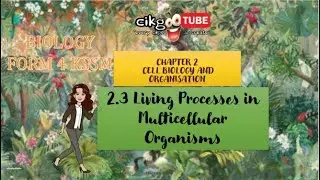 BIOLOGY KSSM FORM 4: 2.3 LIVING PROCESSES IN MULTICELLULAR ORGANISM