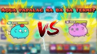 ABP VS RAP termi in 1600+MMR GAMEPLAY!