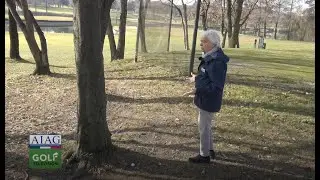 REGOLE DEL GOLF clip 179 