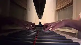 Of Montreal - The Party&rsquo;s Crashing Us piano cover