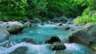 Soft River Stream Sounds for Deep Sleep, Meditation, Stress Relief and Peaceful Mind Rest