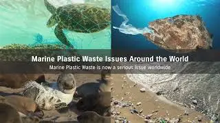 Suzuki Clean Ocean Project | Suzuki Canada