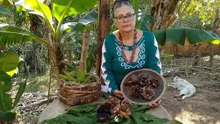 Como fazer flor do deserto/Flor da Embaúba/Faça você mesmo