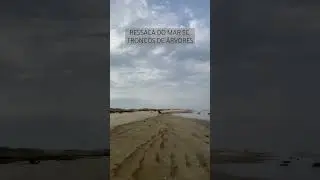RESSACA DO MAR SC, TRONCOS DE &Aacute;RVORES! #mar #santacatarina #ressaca
