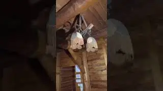 Zajazd Skazany Na Wymarcie
