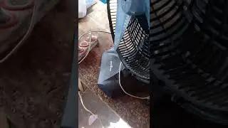 Fus&iacute;vel queimado por causa do capacitor fizemos o Jumper e voltou a funcionar normal
