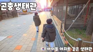 🇰🇷 구리 곤충 생태관 추천 나들이 가는 날 A day to visit the Guri Insect Ecology Museum