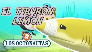 Los Octonautas Oficial en Espa&ntilde;ol - El tibur&oacute;n Lim&oacute;n perdido | Episodio 42