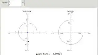 The Argument Principle in Complex Analysis