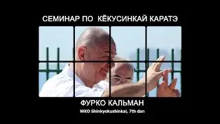 Kyokushin karate. Seminar Kalman Furko / Кёкусинкай каратэ. Семинар Фурко Кальмана.