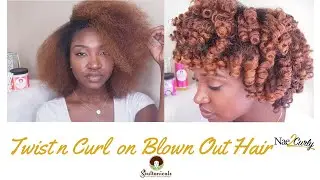Twist n Curl on Blown Out Hair | Soultanicals