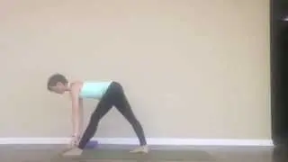 Triangle pose, side facing forward fold, Pyramid Pose, Twisting Triangle, Horse Pose