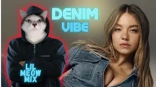 Sydney Sweeney&rsquo;s Ad Broke the Internet | &ldquo;Denim Vibe&rdquo; (Rap Roast by Lil Meow Mix)
