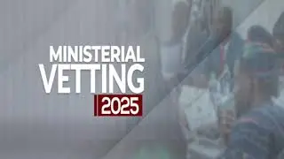 Ministerial vetting chaos: Special committee hearing || 07-02-2025