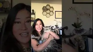 Meditate with Cat for Anxiety & Overwhelm. Pranic Healing *Heart Chakra and Crown Chakra* Balance.