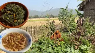 শীতের শেষে আজ করলাম চিংড়ি শুটকি দিয়ে পালং শাকের ঘণ্ট || Bengali recipe 