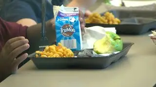 S.C. law helps students get access to free school meals
