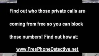 Free Reverse Phone Detective!