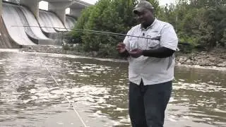 How to Fish With Chicken Liver : How to Catch Catfish