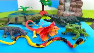 Meet Cool Reptiles (Frog, Snakes, Lizards, Crocodiles) | Amazing Discoveries for Kids!