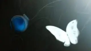 여군주의 목걸이(The Lady's Necklace)
