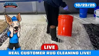 🔴 Rug Washing LIVE | Real Customer Rugs Get Fully Restored