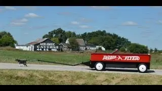 Murphy pulling a Radio Flyer wagon on Route 66 near Pontiac, IL