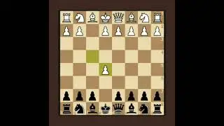Best Trap against Bird Opening
