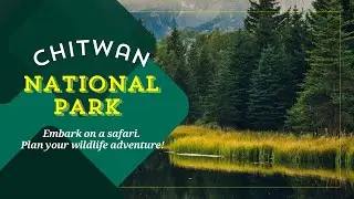 Chitwan National Park Nepal 🇳🇵, One Horned 🦏 Nepal-India Border Crossed , Chitwan to Gorakhpur 🇮🇳
