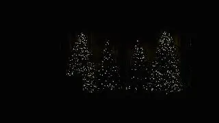 Grace Monroe Live Gathering // 11:00 am 12.21.2025