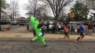 The Bog Band: Cherry Blossom Run