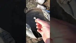 How to throw a special screw into the water #tutorial #absurd #uselessthings #satisfying