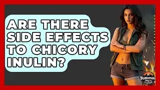 Are There Side Effects To Chicory Inulin? - Survival Skills for Everyone