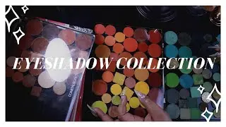 Eyeshadow collection 2020-Over 600 pans of Depotted shadows and singles