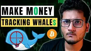 Track Crypto Whales - Copy Trades NFT Airdrops | Dune Analytics Tutorial + GMX | Crypto Cult