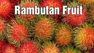 Gabe Reviews Rambutan Fruit
