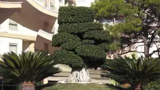 Sueno Hotels Beach Side ( 1 часть )