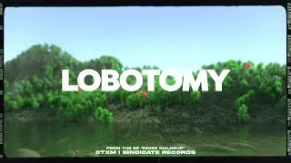 CTXM - Lobotomy (Audio Visualizer)