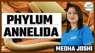 #PhylumAnnelida || #ShortLecture || #NEETZoology || Medha Joshi || Infinity Learn NEET