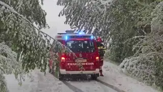 Schneebruch Apri 2016