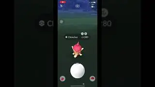 CATCHING SHINY CHIMCHAR DURING SPOTLIGHT HOUR | LAST CATCH